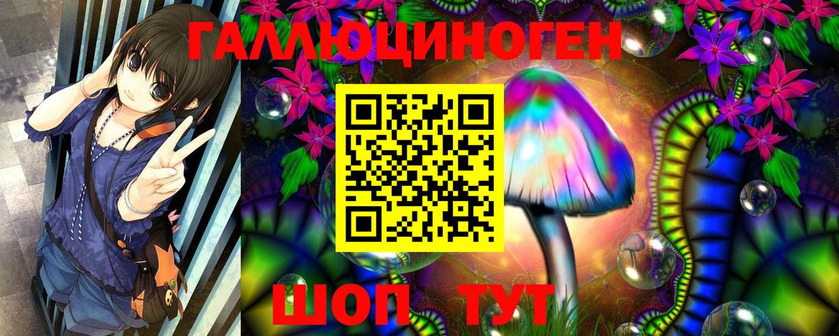 Галлюциногенные грибы Psilocybine cubensis  Вход с VPN  Оренбург 